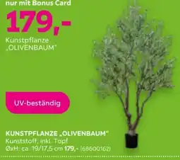 Mömax KUNSTPFLANZE „OLIVENBAUM“ Angebot
