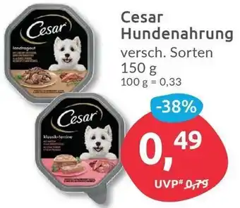 Budni Cesar Hundenahrung 150g Angebot