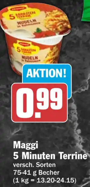 HIT Maggi 5 Minuten Terrine Angebot