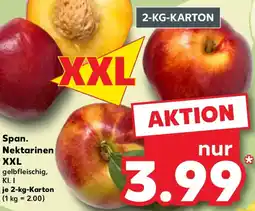 Kaufland Span. Nektarinen XXL Angebot
