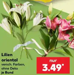 Kaufland Lilien oriental Angebot