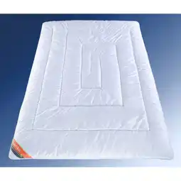 Netto Marken-Discount Walburga Sommersteppbett Season Best 155x220 Angebot