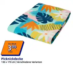 Action Picknickdecke Angebot