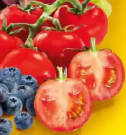 Netto Marken-Discount Minirispentomaten Angebot