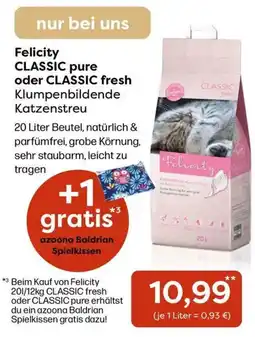 Zoo & Co Felicity CLASSIC Katzenstreu Angebot