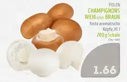 Edeka Struve POLEN CHAMPIGNONS WEIß oder BRAUN Angebot