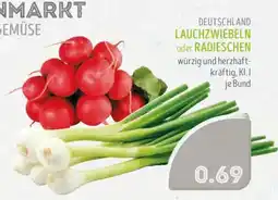 Edeka Struve LAUCHZWIEBELN oder RADIESCHEN Angebot