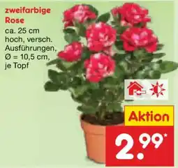 Netto Marken-Discount zweifarbig Rose Angebot