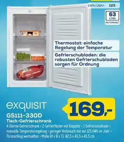 Euronics exquisit GS111-330D Tisch-Gefrierschrank Angebot