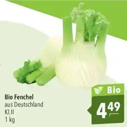 CITTI Markt Bio Fenchel Angebot