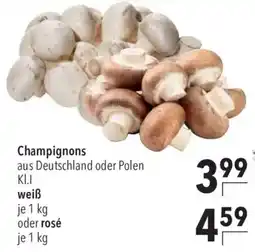 CITTI Markt Champignons Angebot