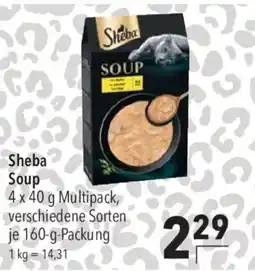 CITTI Markt Sheba Soup Angebot