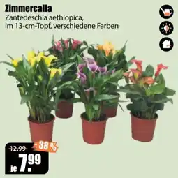V Baumarkt Zimmercalla Angebot