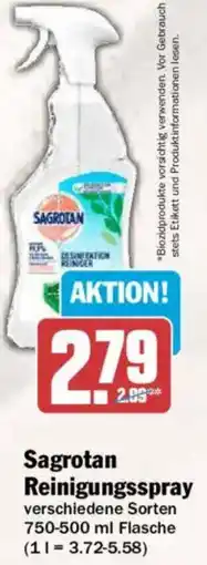 AEZ Sagrotan Reinigungsspray Angebot