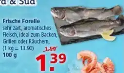 Multi Markt Frische Forelle Angebot