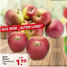 Multi Markt Äpfel Wellant Angebot