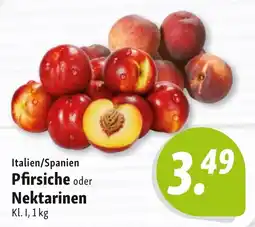 Nah & Frisch Pfirsiche oder Nektarinen Angebot
