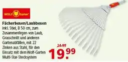 Multi Markt Fächerbesen/Laubbesen Wolf-Garten Angebot