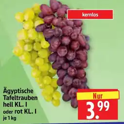 Edeka Herkules Ägyptische Tafeltrauben Angebot