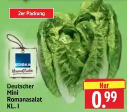 Edeka Herkules REWE Hausmittel Deutscher Mini Romanasalat Angebot