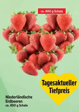 Edeka Herkules Niederländische Erdbeeren Angebot