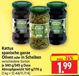 Edeka Herkules Kattus spanische ganze Oliven Angebot