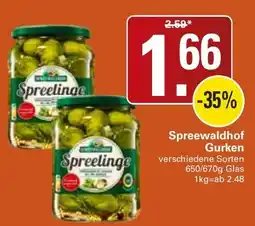WEZ Spreewaldhof Gurken Angebot