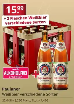 Sagasser Paulaner Weißbier verschiedene Sorten Angebot