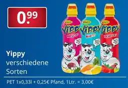 Sagasser Yippy Angebot