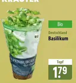 Famila Nord Ost BASILIKUM Angebot