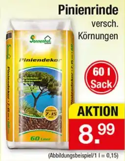 Zimmermann Sonnenhof Piniendekor Angebot