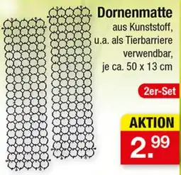 Zimmermann Dornenmatte aus Kunststoff Angebot