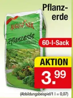 Zimmermann Augustner Pflanzerde Angebot