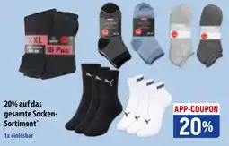 Famila Nord Ost Socken-Sortiment Angebot