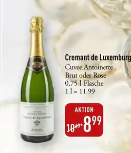 Galeria Markthalle Cuvee Antoinette Cremant de Luxembourg Angebot