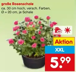 Netto Marken-Discount große Rosenschale Angebot