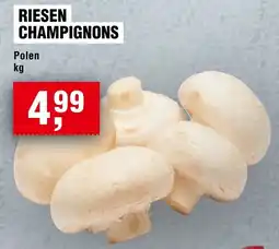 Handelshof Riesen Champignons Polen Angebot