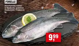 Handelshof FORELLE Angebot