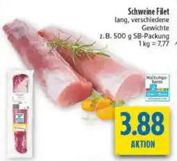 diska Schweine Filet Angebot
