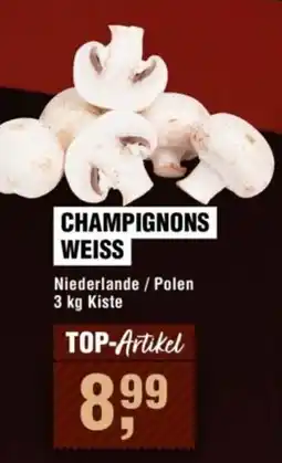 Handelshof Champignons Weiss Angebot