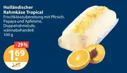 V Markt Holländischer Rahmkäse Tropical Angebot