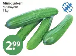V Markt Minigurken aus Bayern Angebot