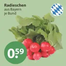 V Markt Radieschen aus Bayern Angebot