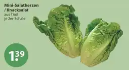 V Markt Mini-Salatherzen / Knacksalat Angebot