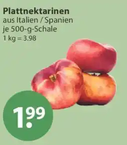 V Markt Plattnektarinen Angebot