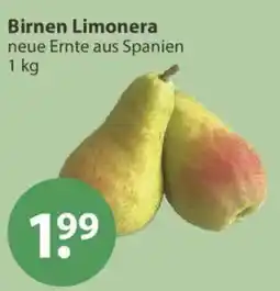 V Markt Birnen Limonera Angebot