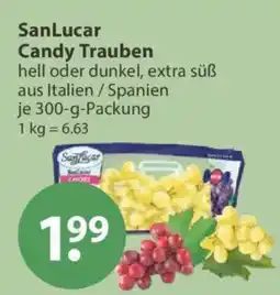 V Markt SanLucar Candy Trauben Angebot