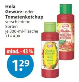 V Markt Hela Gewürz- oder Tomatenketchup Angebot