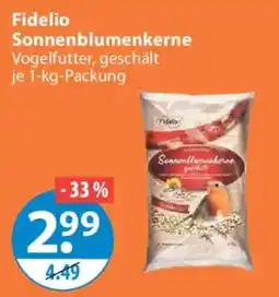 V Markt Fidelio Sonnenblumenkerne Angebot