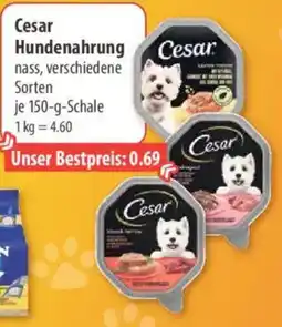 V Markt Cesar Hundenahrung Angebot